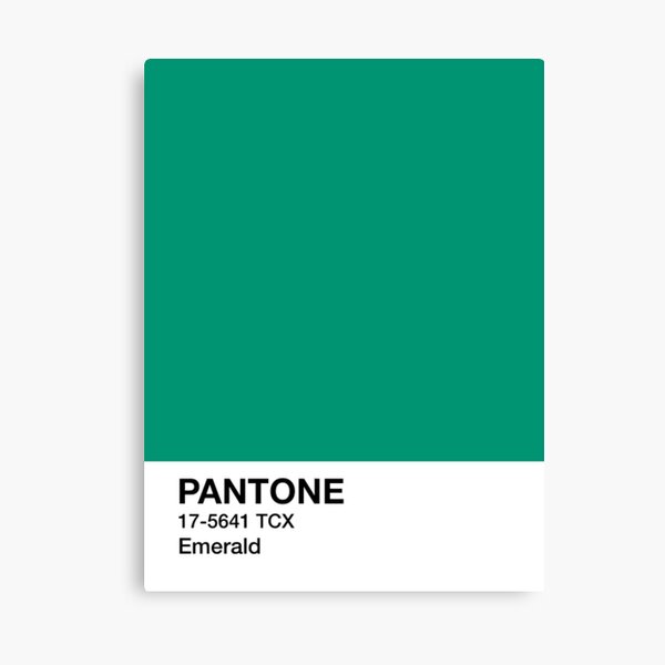You are currently viewing Introducing the 2013 Color of the Year